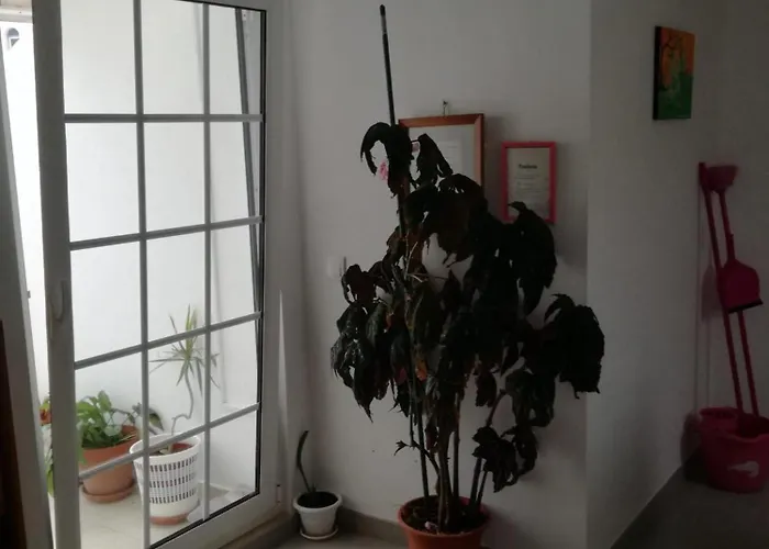 Aguas Furtadas Mario Fanha 纳扎雷